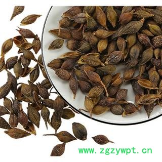 连翘 青翘 水煮（气蒸） 选货  产地 山西省 买好药找娟子图3