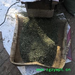 柴胡 新品促销柴胡杆带叶野生5元/公斤 产地 河南省平顶山市汝州市图2