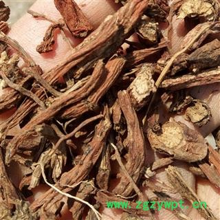 丹参 丹参中统段0.4 产地 河南省平顶山市汝州市图2