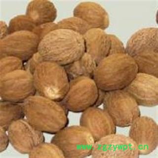 娟子中药 肉豆蔻 统 产地 广西壮族自治区图3