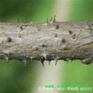 吉康药业刺老芽根皮、刺龙牙根皮楤木根皮图2