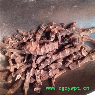 吉康药业中药材地参 土参 竹根七 竹节参图2