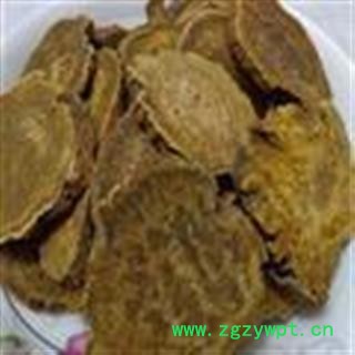 吉康药业中药材  大黄  马蹄大黄 甘肃省武威市古浪县图2