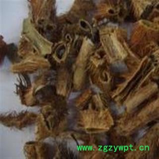 吉康药业红毛刺五加  红毛五加皮 纪氏五加 刺加皮 蜀五加图2