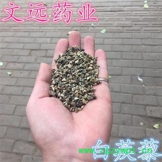 蒺藜 选 白蒺藜 产地 河南省南阳市市辖区图2