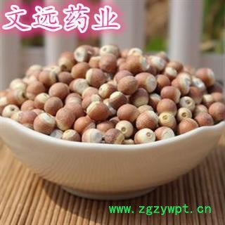 芡实 芡实米  11粒左右 产地 广东省肇庆市图2