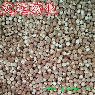 芡实 芡实米  11粒左右 产地 广东省肇庆市图3