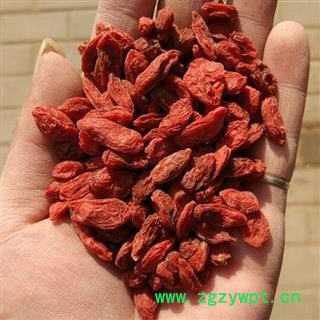 枸杞 精选 2020新货 统颗粒  产地 宁夏回族自治区银川市市辖区图3
