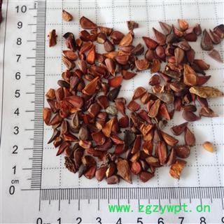 榠樝 木瓜 木瓜籽 木瓜子 木瓜核   产地 四川省图2