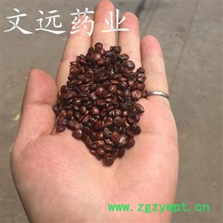 进口枣仁 统装 产地 海外图2