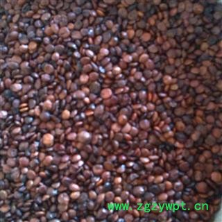 进口枣仁 统装 产地 海外图3