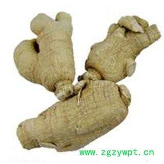 国产西洋参7克粒头图3