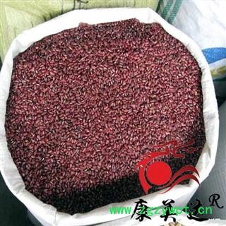 赤小豆 药用赤小豆 统 产地 山西省图3