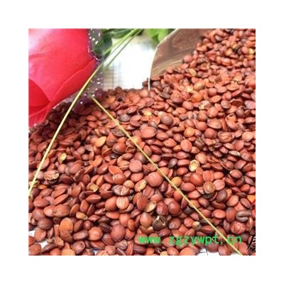 酸枣仁 酸枣仁98货 产地 山西省