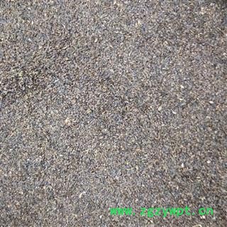 车前子 干度好无杂质 产地 江西省图3