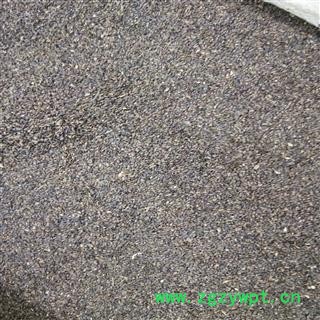 车前子 干度好无杂质 产地 江西省图2