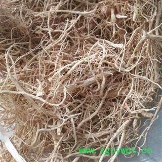 新辉药业优质人参 人参须图2