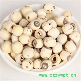 娟子中药  莲子 白莲子  统 产地 湖南省图2