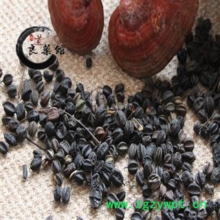 刺五加选货 刺老芽子 天然 刺五加籽产地黑龙江 药典标准 地道良药馆1000克直销图3