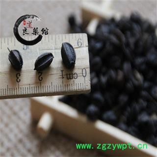 刺五加选货 刺老芽子 天然 刺五加籽产地黑龙江 药典标准 地道良药馆1000克直销图4