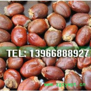 娟子中药批发 荔枝核 统货  产地 广西壮族自治区桂林市市辖区图2