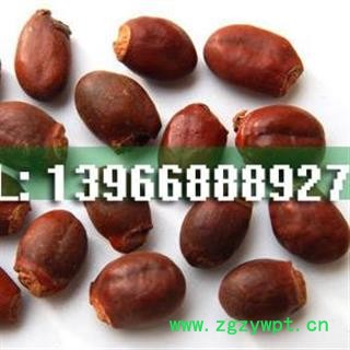 娟子中药批发 荔枝核 统货  产地 广西壮族自治区桂林市市辖区图3