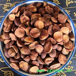 枇杷 枇杷核 枇杷籽 枇杷子 产地 四川 买好药找娟子图4