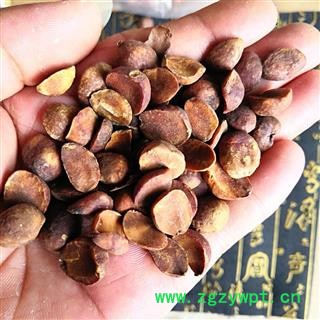 枇杷 枇杷核 枇杷籽 枇杷子 产地 四川 买好药找娟子图2