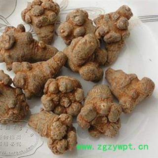 吉康药业三七文山田七滑头不带剪口 云南文山 水洗本色无蜡图2