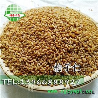 娟子中药批发 正品柏子仁 纯净货 无壳 无杂质 无加重  柏子仁 统货 产地 山东省潍坊市临朐县  库存 买好药找娟子图2