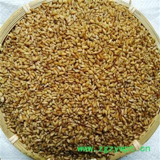 娟子中药批发 正品柏子仁 纯净货 无壳 无杂质 无加重  柏子仁 统货 产地 山东省潍坊市临朐县  库存 买好药找娟子图3