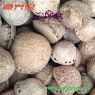 风流果 风流果 产地 广西壮族自治区  批发各种冷背中草药个子图3