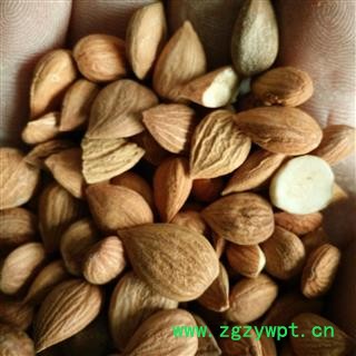 苦杏仁 苦杏仁统货 产地 山西省图2