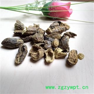 诃子 诃子肉 产地 云南省图2