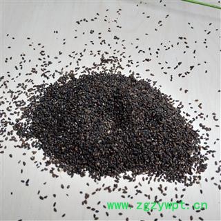 车前子 江西车前子精选货 产地 江西省图2