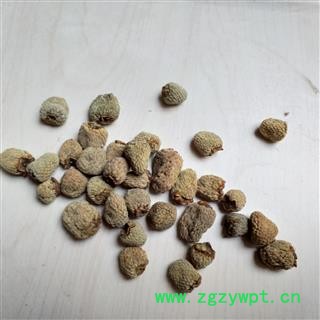 覆盆子 覆盆子统货 产地 安徽省宣城市图2