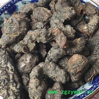 吉康药业拳参 云南化骨连 化骨莲 猴儿七 草河车 紫参 九牛燥图2