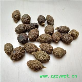 胖大海 圆果选货 产地 海外图2