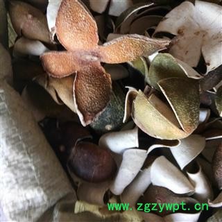 四花青皮 四花青皮绿色选个 产地 浙江省图2