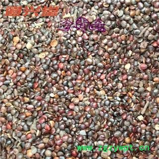 水红花子 水红花子净货 产地 吉林省 批发各种冷背中草药个子图2