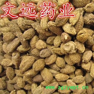 砂仁 进口壳砂仁选货 产地 海外图2