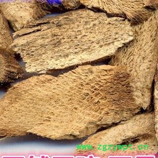 吉康药业 木香  广木香图2