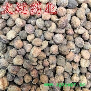 砂仁 选 阳春砂 产地 广东省图2