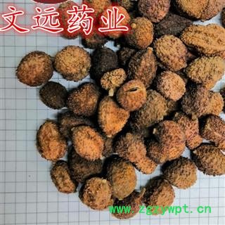 砂仁 选 阳春砂 产地 广东省图3