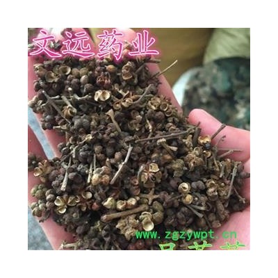 吴茱萸 开花 大花吴茱萸  产地 湖北省襄阳市市辖区