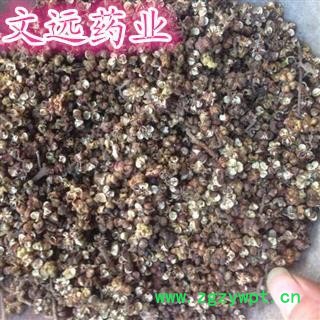 吴茱萸 开花 大花吴茱萸  产地 湖北省襄阳市市辖区图3