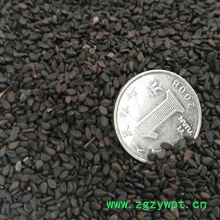 黑芝麻 统装  芝麻 产地 河南省图3