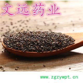 车前子 车前子净货 产地 江西省九江市图2