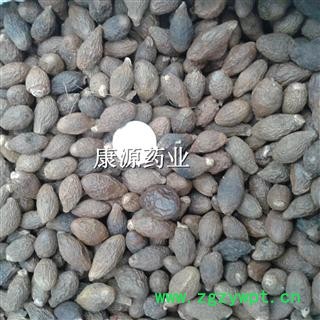 胖大海 大长果 产地 广西图3