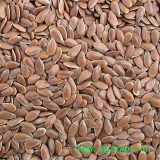 亚麻子 亚麻籽 胡麻子 亚麻子选货 产地 内蒙古自治区图2